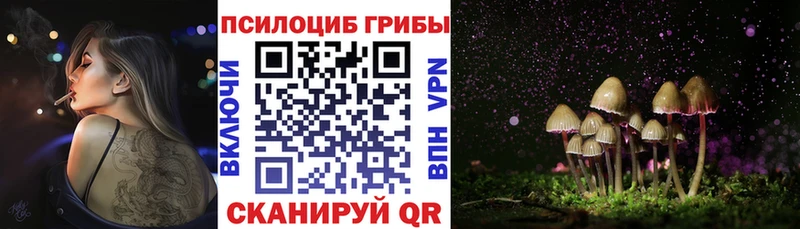 Псилоцибиновые грибы Psilocybine cubensis  ссылка на мегу ссылки  Гагарин 