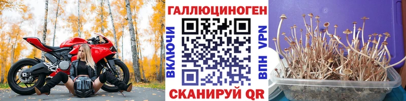 Псилоцибиновые грибы ЛСД Гагарин